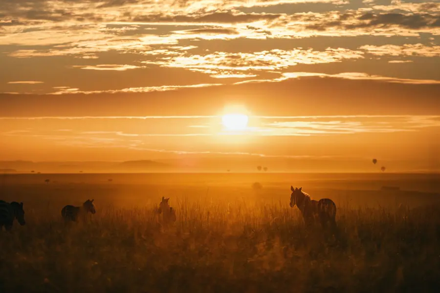 África — destinos Imagine Travel